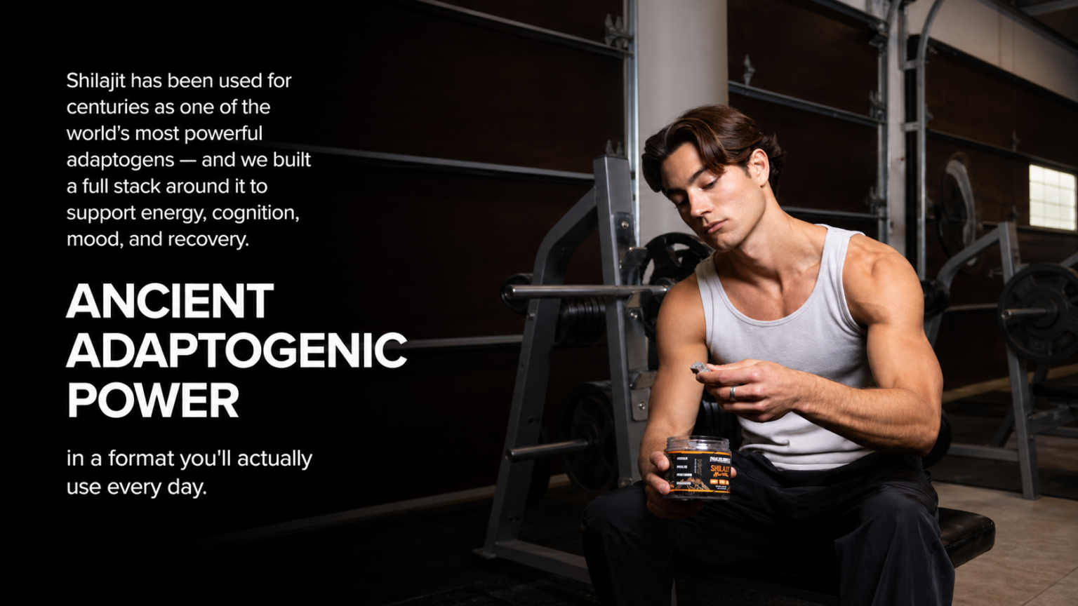 shilajit gummies benefits