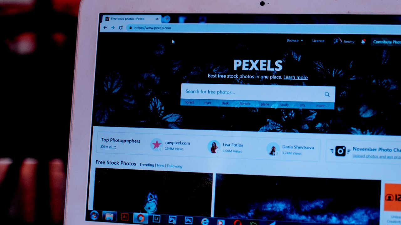 AI Search and Website Discovery