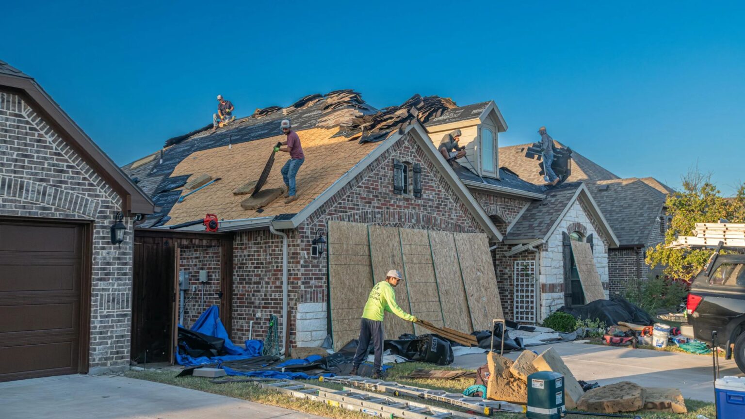 Mold Damage Repair Costs